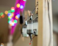 "paperbeasts" der TSD-Werkstatt "Smart Materials"