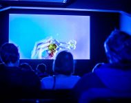 Junges Kino
