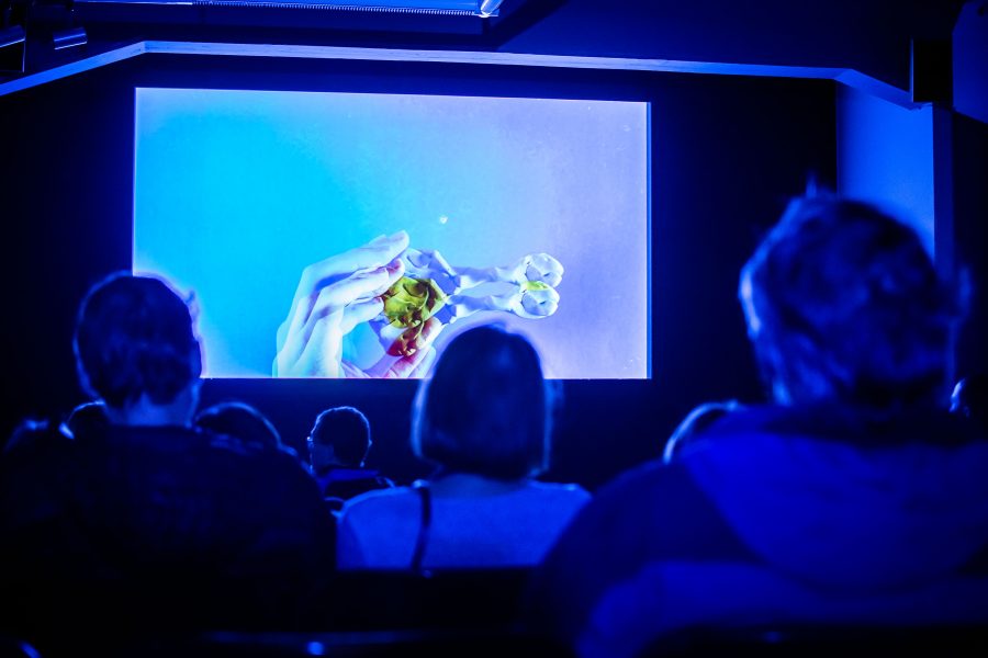 Junges Kino