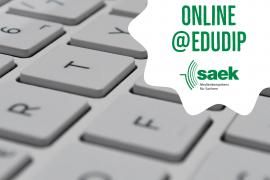SAEK_MW202004_FakeNews_3zu2_webinar SAEK_MW202004_FakeNews_3zu2_webinar