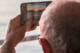 pexels-feyza-nur-demirci-8374991 pexels-feyza-nur-demirci-8374991